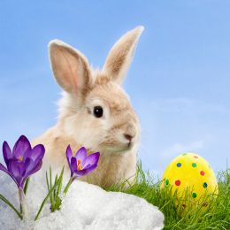 Ostern